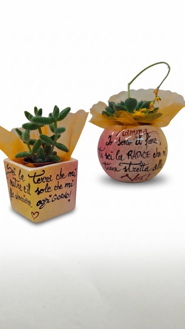 Vasi in ceramica con dedica per la mamma e piante grasse
