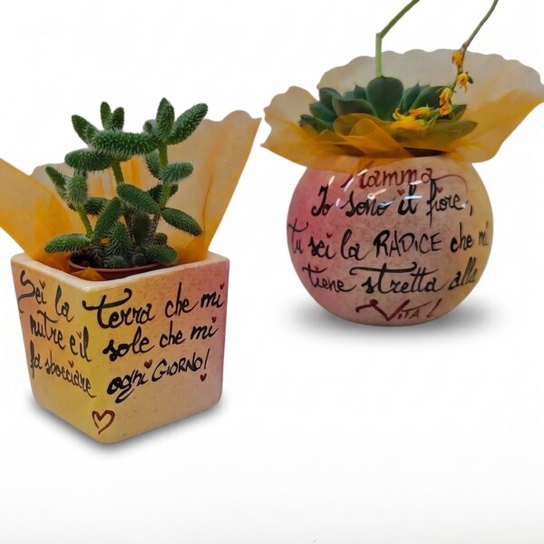 Vasi in ceramica con dedica per la mamma e piante grasse