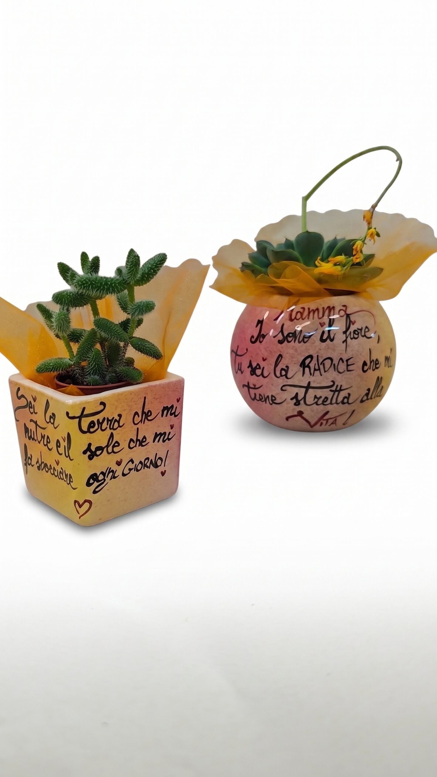 Vasi in ceramica con dedica per la mamma e piante grasse